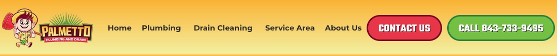 Palmetto Plumbing and Drain